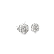 3.00ct Natural Round Brilliant Cut Diamond Diasy Cluster Studs Set In 9ct White Gold