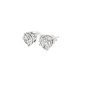 4.00ct Lab Grown Diamond Studs Set In Platinum